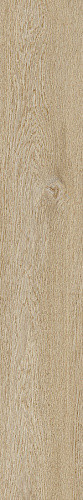 Ragno Ossimori Avorio Extra Matt Rett 20x120
