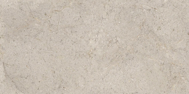 Porcelanosa Dorcia Acero L 59.6x120