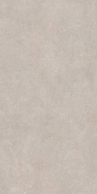 Casalgrande Padana Concept Greige Satin 60x120