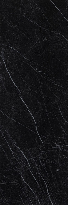 Fap Roma Diamond Nero Reale Brilliant 25x75