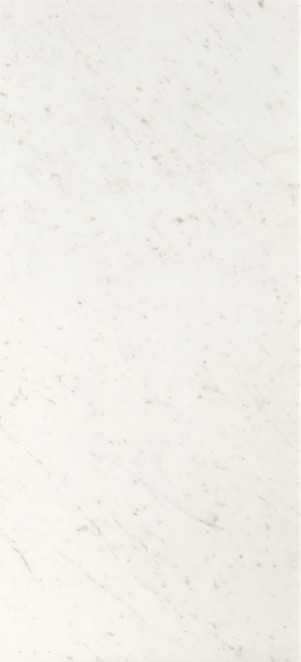 Fap Roma Diamond Carrara Brillante 50x120