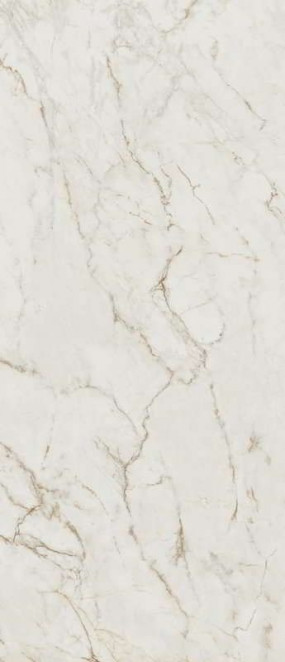 Fap Roma Gold Calacatta Delicato Brillante 120x278