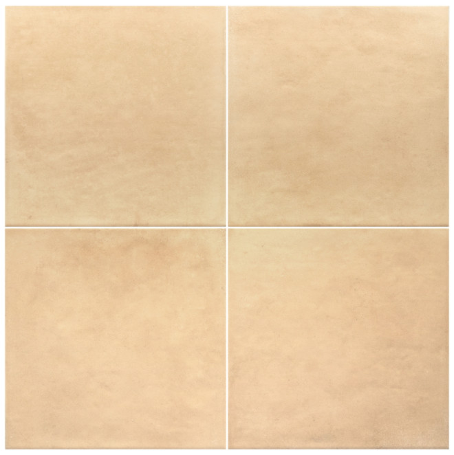 Equipe Ares Natural 20X20