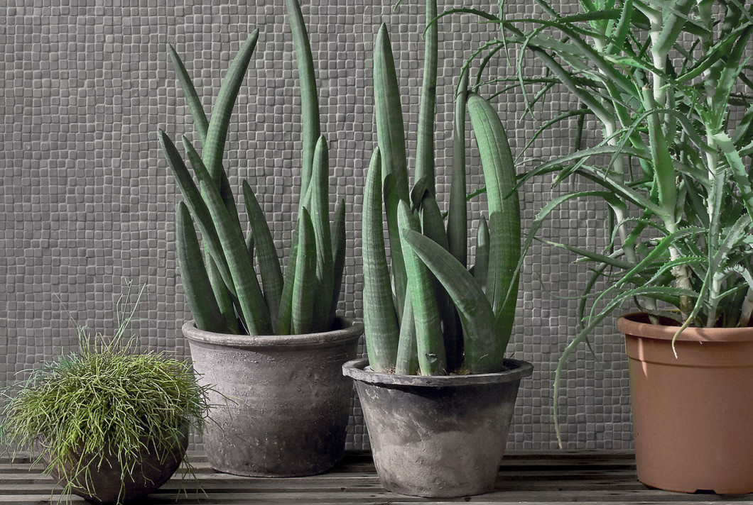 41zero42 Nano Gap Grigio 30x30