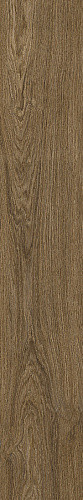 Ragno Ossimori Marrone Extra Matt Rett 20x120