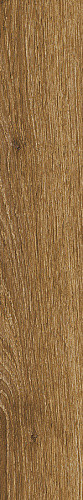 Ragno Ossimori Miele Extra Matt Rett 20x120