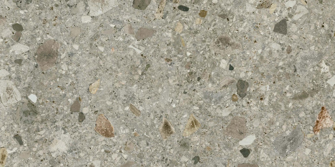 Energieker Ceppo di Gre Multicolor 60X120