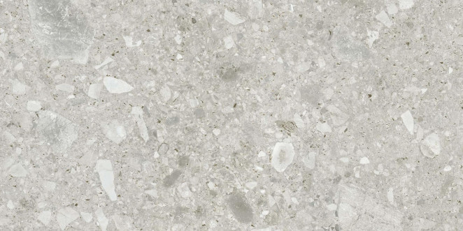 Energieker Ceppo di Gre White 60X120