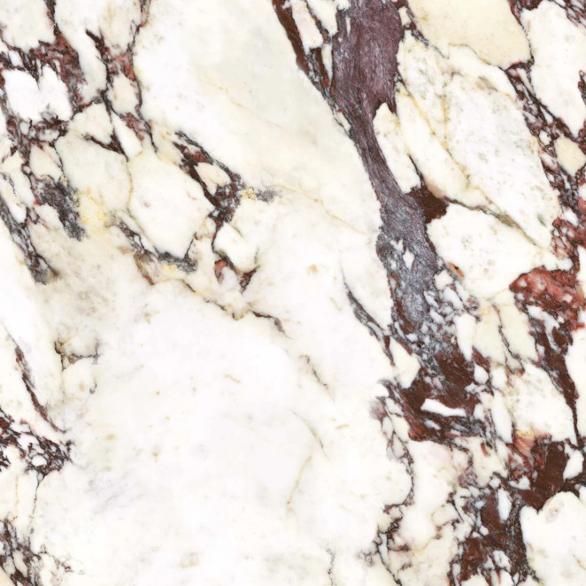 Energieker Calacatta Viola Calacatta Viola 120X120