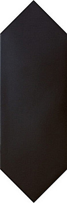 Equipe Kite Black 10x30