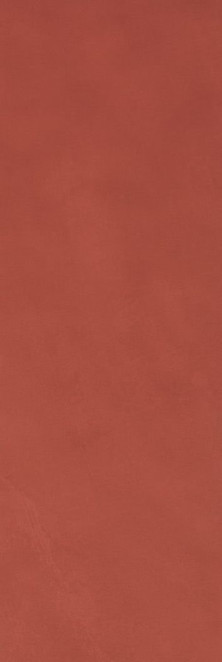 Fap Color line Marsala 25x75