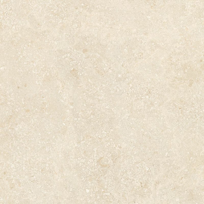 Rex Ceramiche Authentic luxe Stone Mont Rusticedge 60x60 Matte Leather
