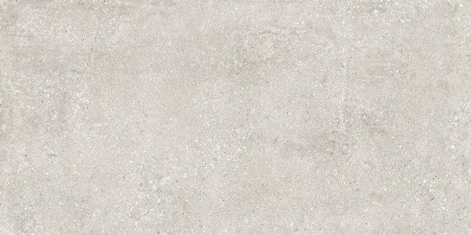 Idalgo Perla Light Grey Light Lapp 60x120