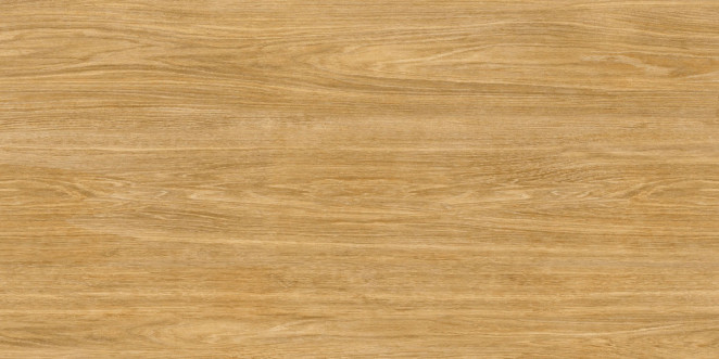 Idalgo Wood Classic Honey Mild LMR 60x120