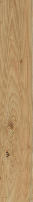 ITALON Element Wood Olmo 20x120