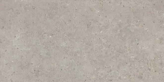 Kerama Marazzi Риккарди Серый Светлый Матовый Обрезной 60х119.5