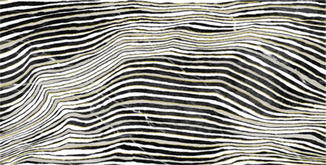 La Bottega del Decoro Zebra Zebra 60x120