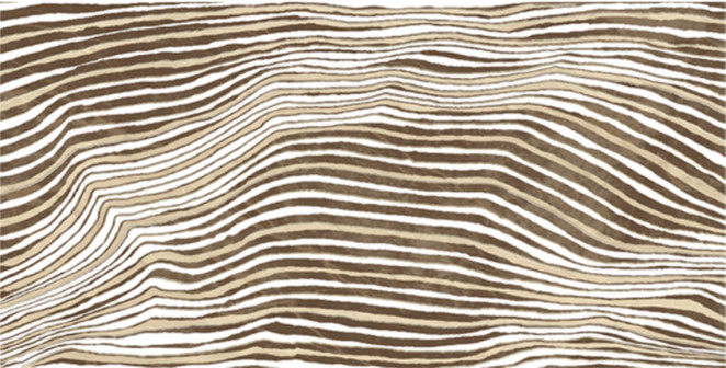 La Bottega del Decoro Zebra Zebra Antilope 60x120