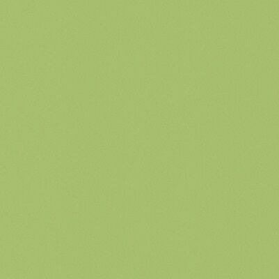 Casalgrande Padana Architecture Acid Green 60x60