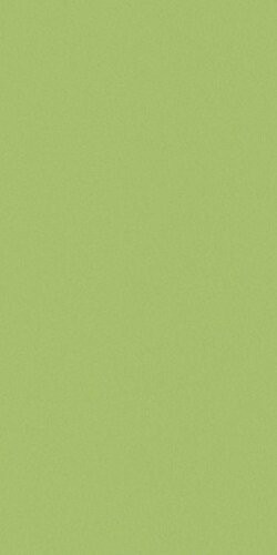 Casalgrande Padana Architecture Acid Green 30x60