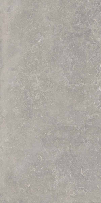 Ariana Memento Bruges Grey 60x120 antique 3d R