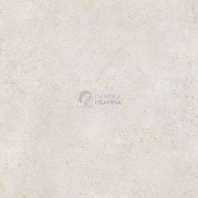 Refin Mold Mist R 120x120