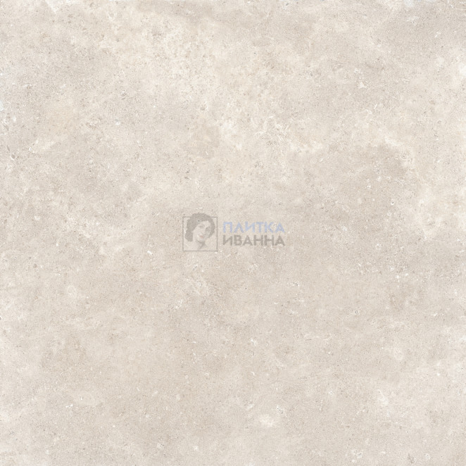 Refin Coquille Champagne C2 Grip R 120x120
