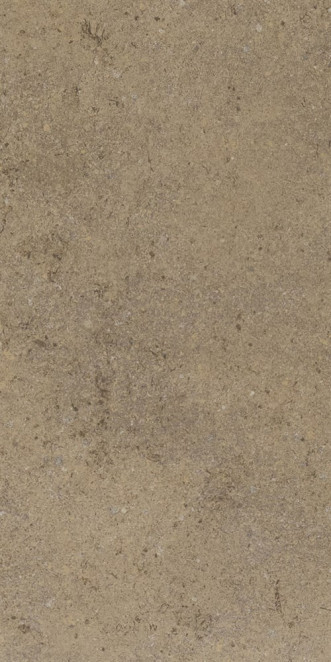 Ariostea Elementae Full Body Tellus 60x120 structured