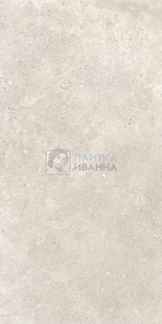 Refin Coquille Champagne Matt-Pro R 60x120