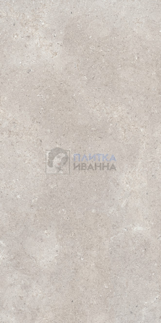 Refin Coquille Gris Matt-Pro R 60x120