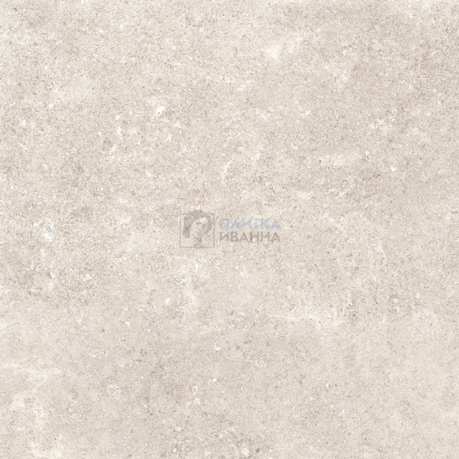 Refin Coquille Champagne Matt-Pro R 60x60