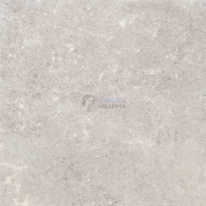 Refin Coquille Gris Matt-Pro R 60x60