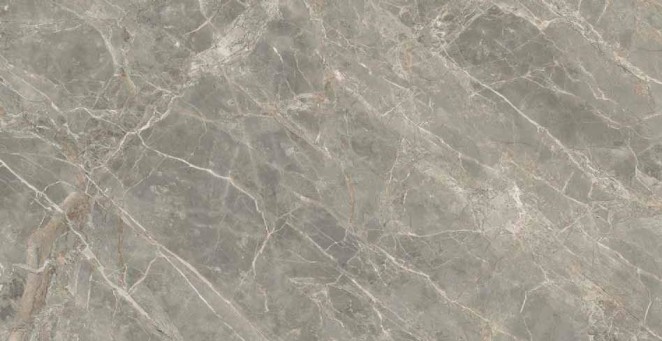 Rex Ceramiche Etoile de Rex Gris Glossy 60x120