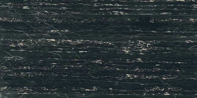 Rex Ceramiche I Classici di Rex Portoro Glossy 60x120