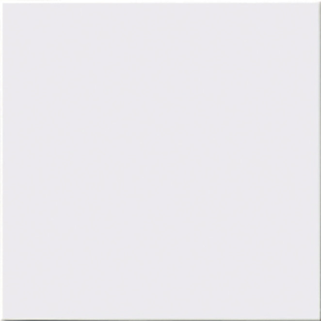 Absolut Keramika Liso Mate Blanco 20x20