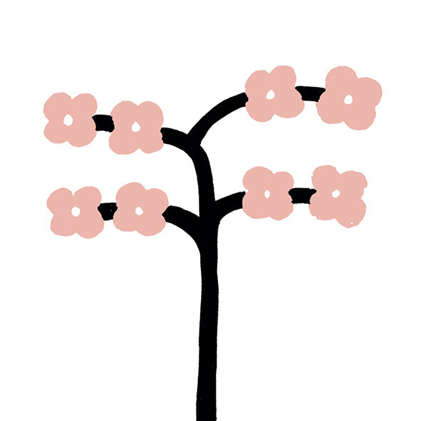 41zero42 Stories Caravan Matte 10x10