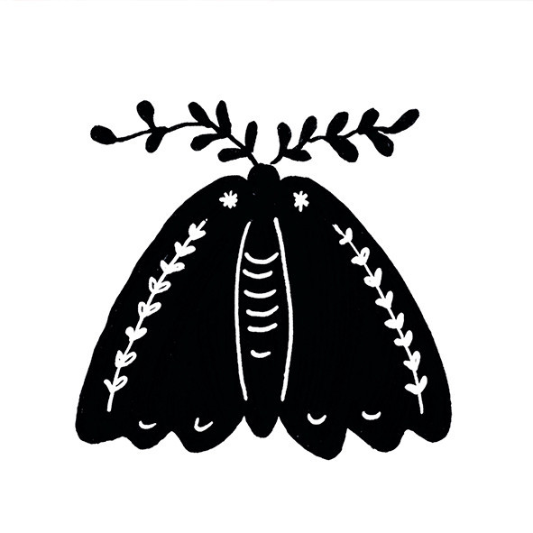 41zero42 Stories Caravan Lux 10x10