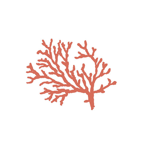 41zero42 Stories Costiera Lux 10x10