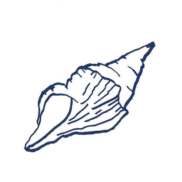 41zero42 Stories Costiera Lux 10x10