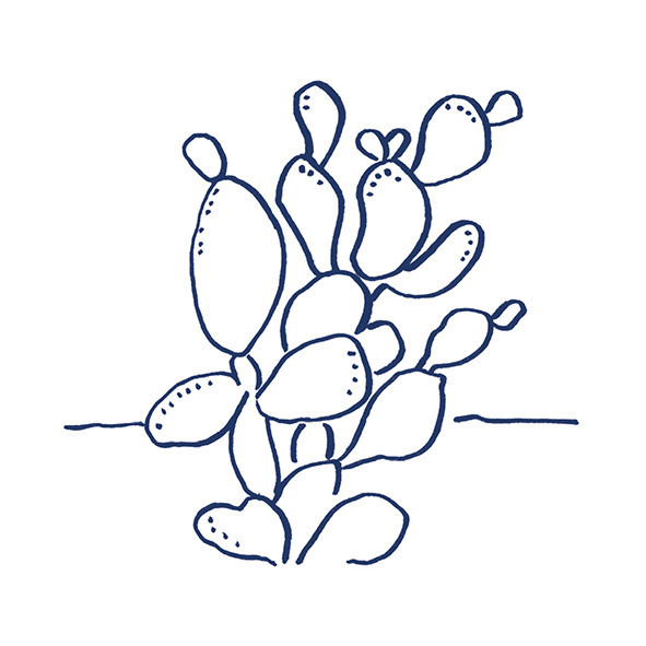 41zero42 Stories Costiera Matte 10x10