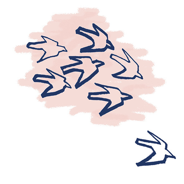 41zero42 Stories Costiera Matte 10x10