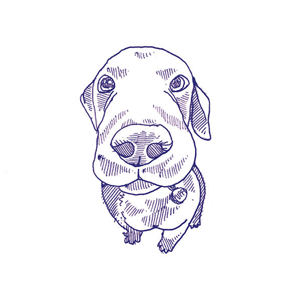 41zero42 Stories Eddie Lux 10x10