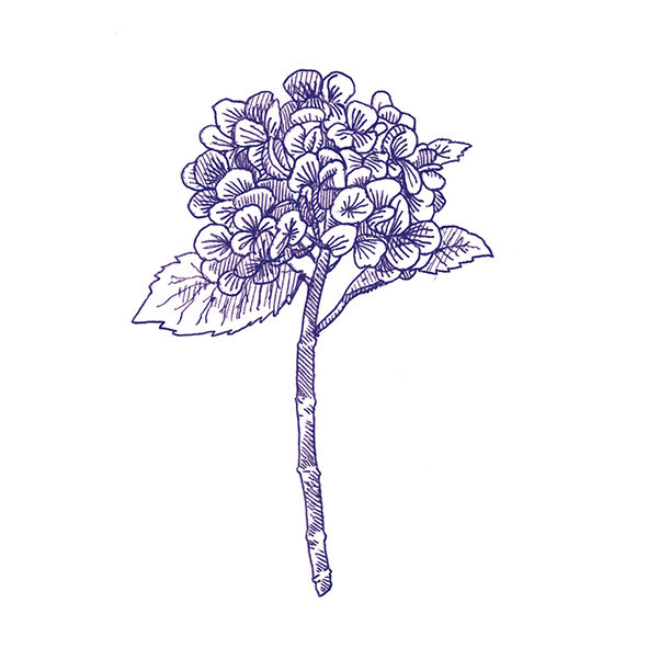 41zero42 Stories Eddie Matte 10x10