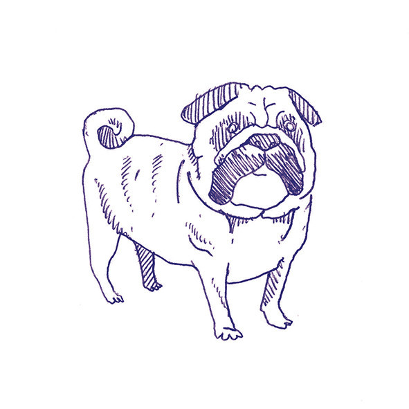 41zero42 Stories Eddie Lux 10x10