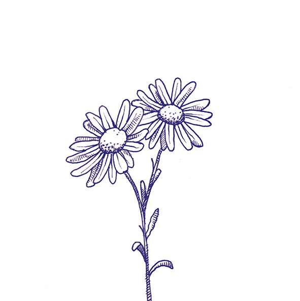 41zero42 Stories Eddie Lux 10x10