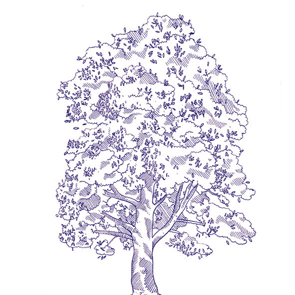 41zero42 Stories Eddie Matte 10x10