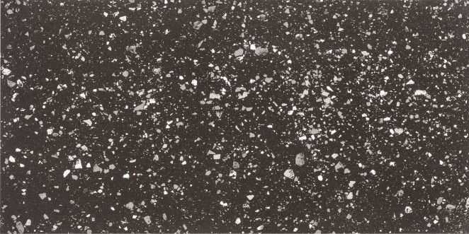 Casalgrande Padana Terrazzotech Nero 120x60