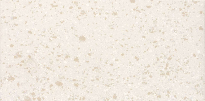 Casalgrande Padana Terrazzotech Beige 120x60
