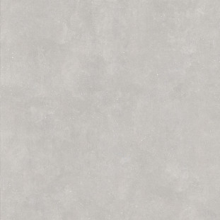 Casalgrande Padana Concept Grey Satin 120x120