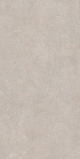 Casalgrande Padana Concept Greige Satin 60x120